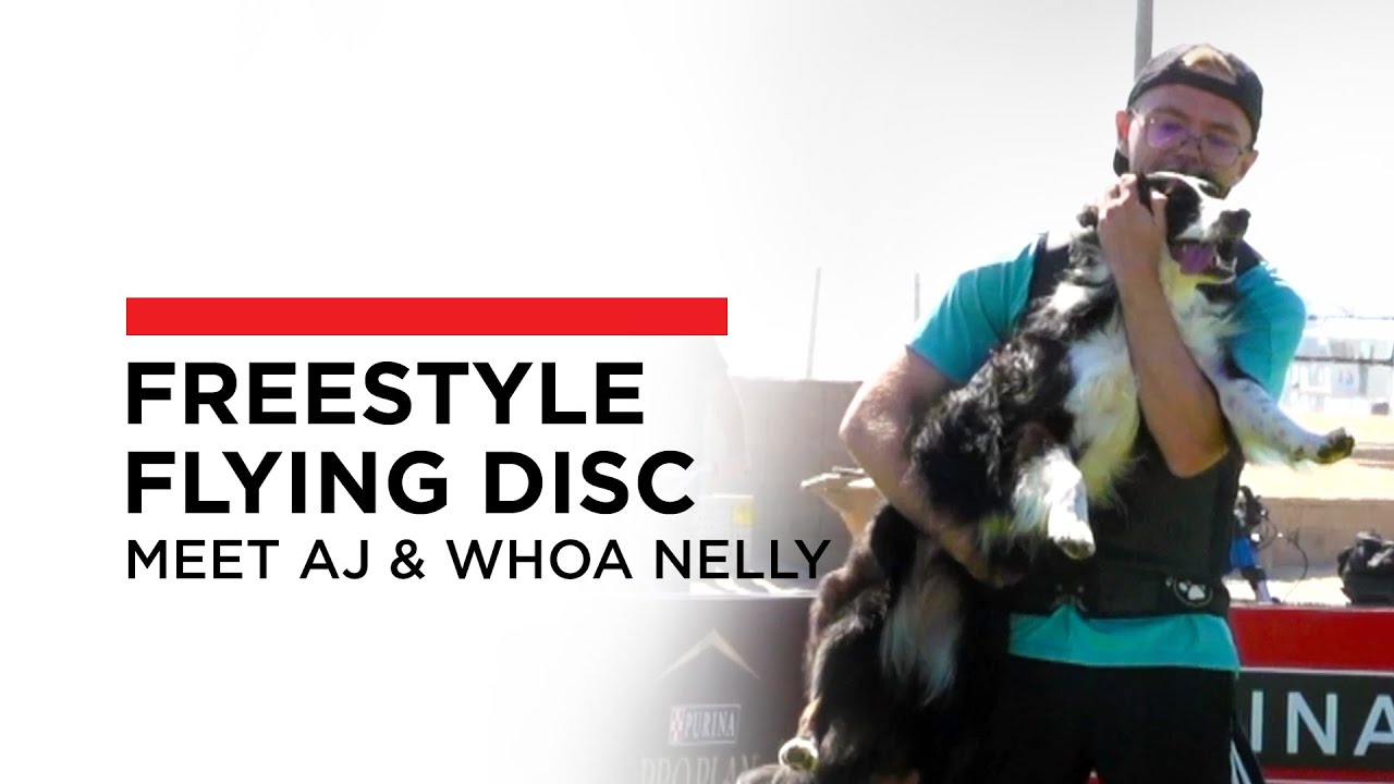 Meet AJ & Incredible Dog Challenge Freestyle Flying Disc Champion Whoa Nelly