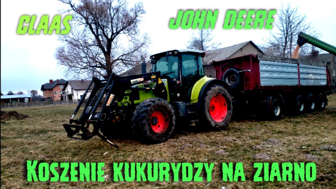 👊Koszenie kukurydzy✓Na ziarno w lutym✓😉