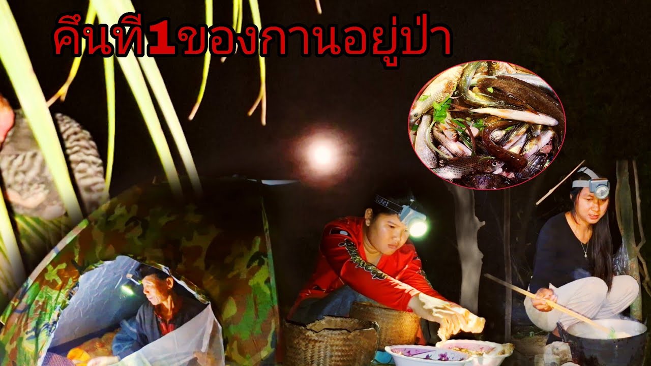 คึนแลกของกานอยู่ป่า #หาปลา 