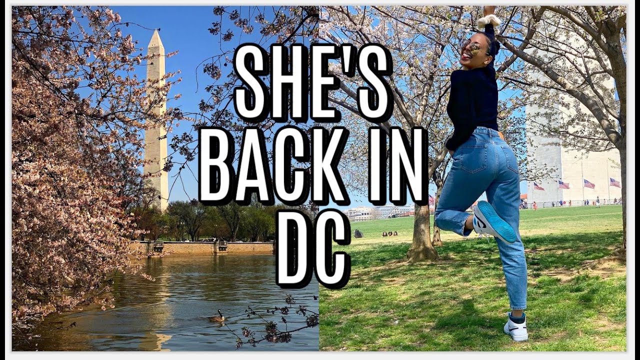 VLOG: quick trip to Washington, DC for cherry blossom season