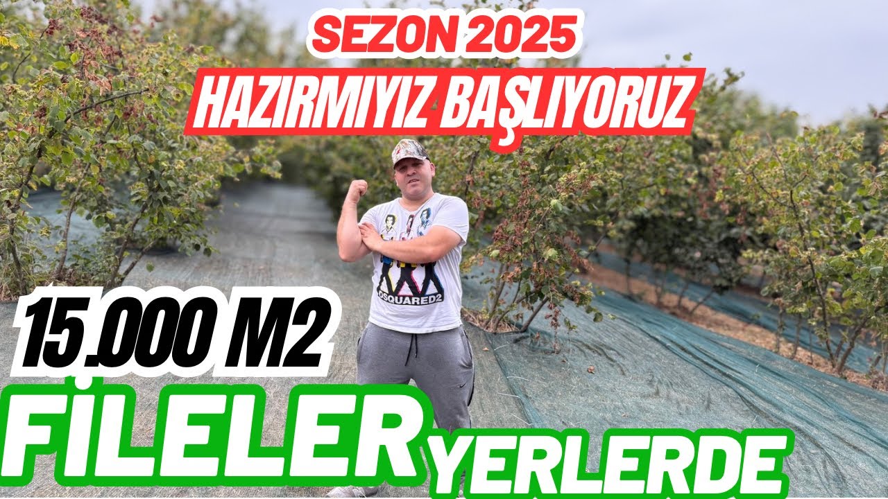 10 DÖNÜM FINDIKLIĞI 15.000 M2 FİLE İLE KAPLADIK | NEDEN ŞİMDİ SERDİK ? | PÜF NOKTALARI