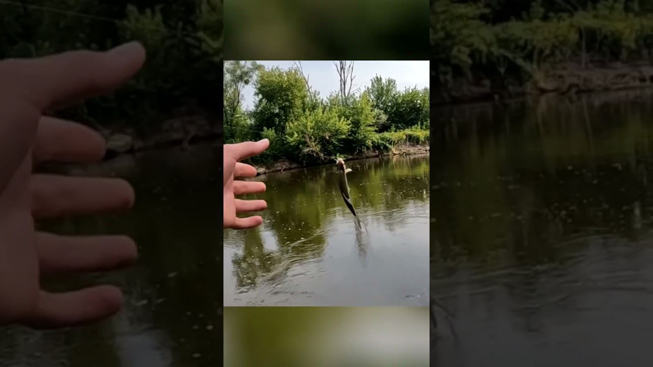 No i wędka do kosza... 