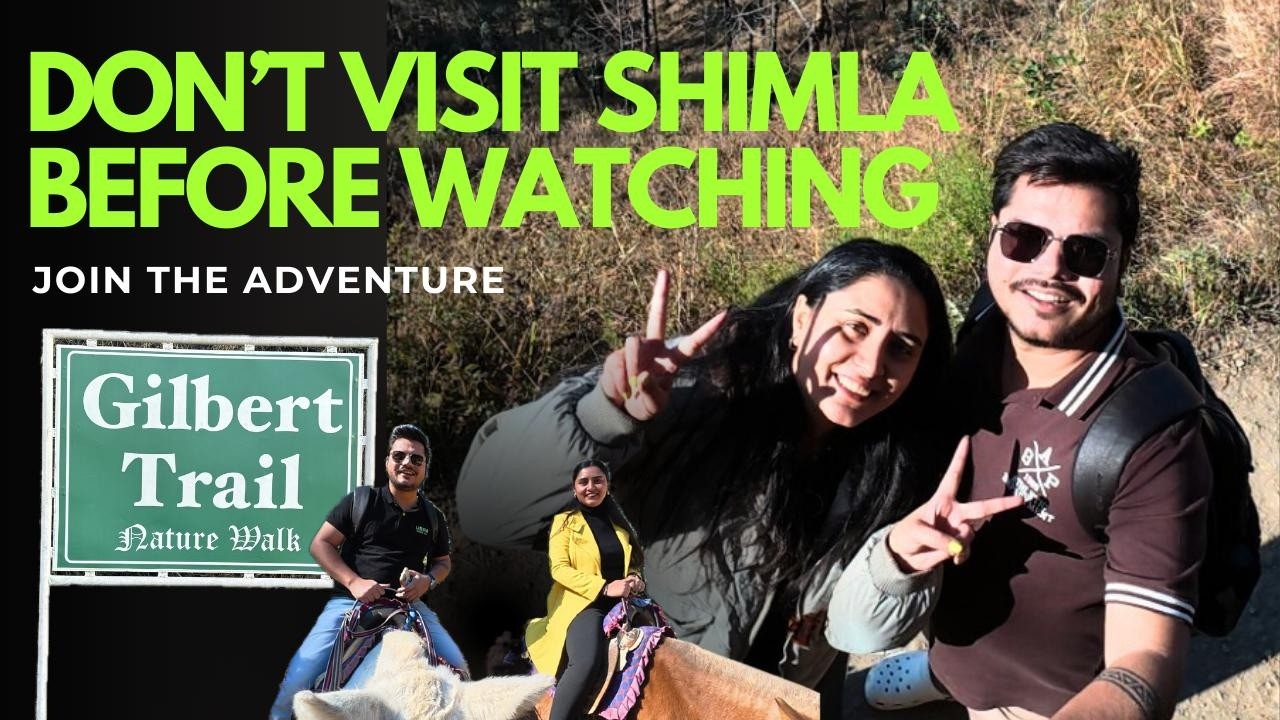 I tried Yak Riding in Naldehra! 🐂 Shimla & Kasauli Travel Vlog 2026