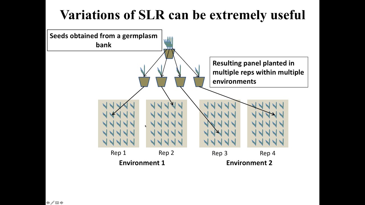 Introduction of Statistical Models for GWAS and GS