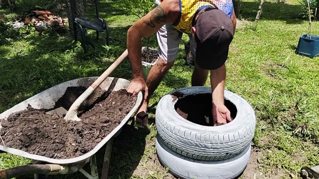 FOI PLANTADO NO LUGAR ERRADO