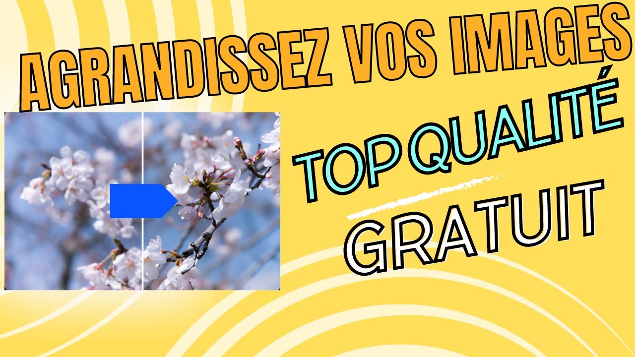 Simple&Gratuit - Un logiciel gratuit pour agrandir vos photos sans perte de qualité