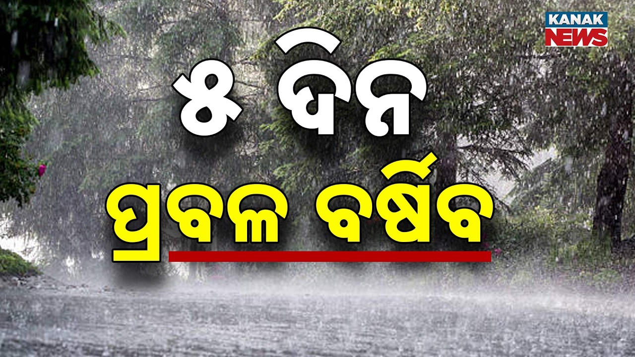 ୫ ଦିନ ପ୍ରବଳ ବର୍ଷା | Odisha Rain Alert | 20 Districts Under Yellow Warning, More Rain Ahead