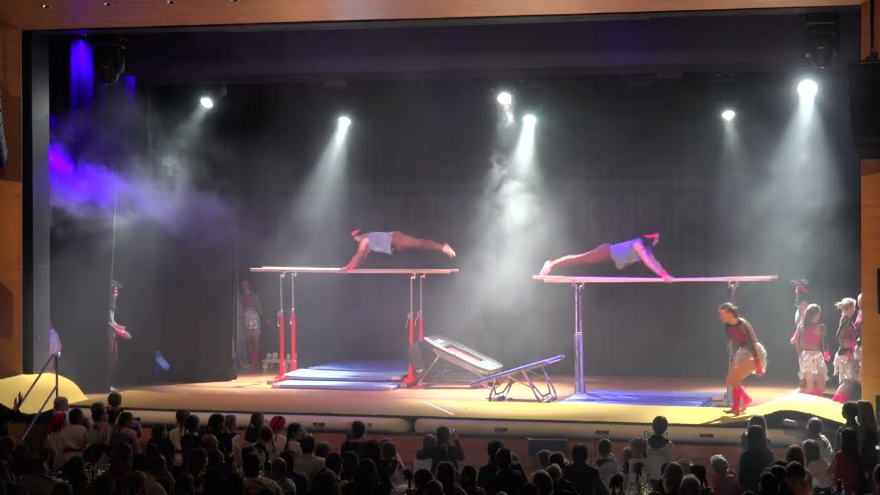 Turnerball der TS Wolfurt 2024 - Black Magnesia