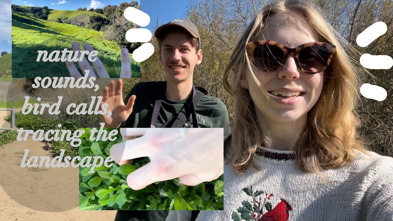 asmr birdwatching vlog (tracing, tapping, walking sounds) in PRISTINE nature
