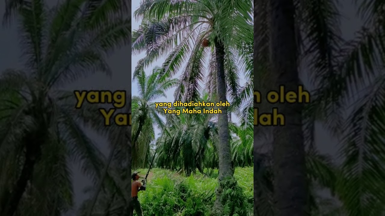 rencana Allah maha indah