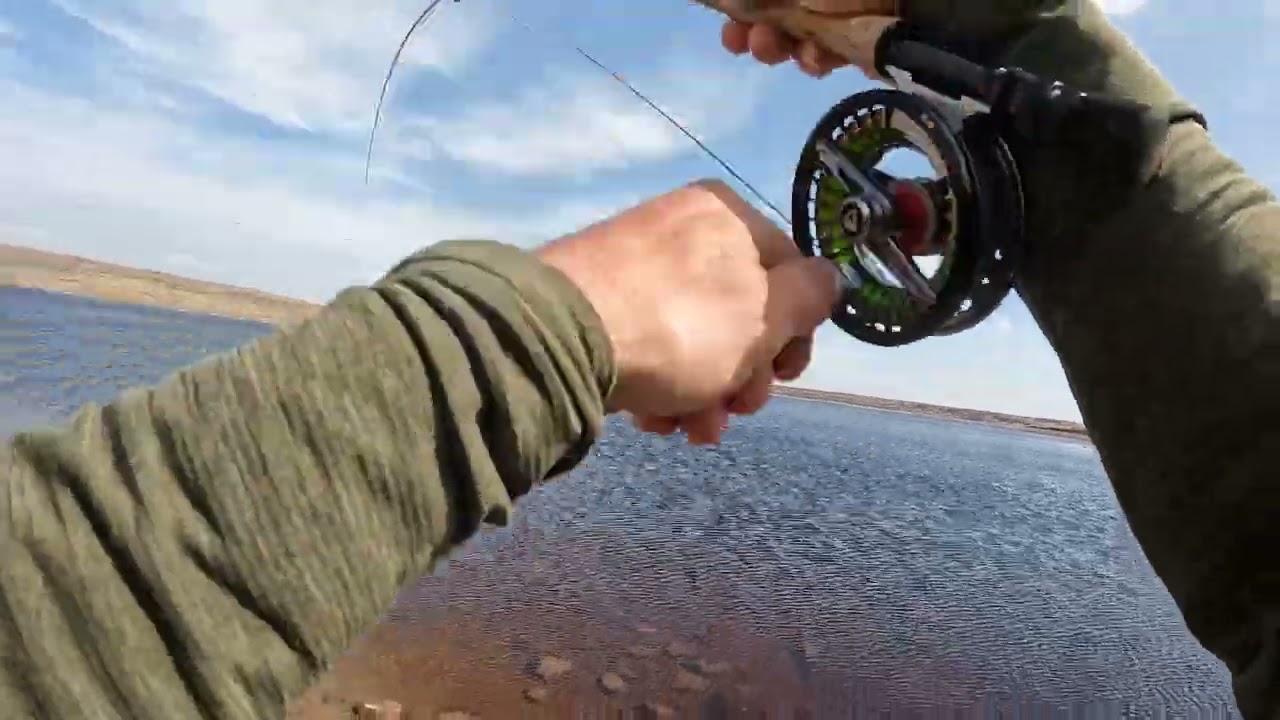2025/04/12 Fishing Cow Green