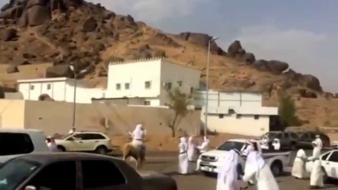استقبال القحص بنجران اليوم