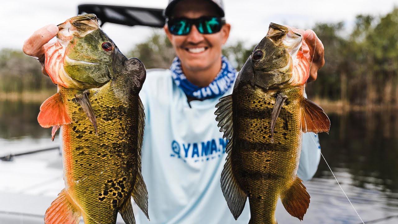 Guidelines - Everglades Peacock Bass Fishing