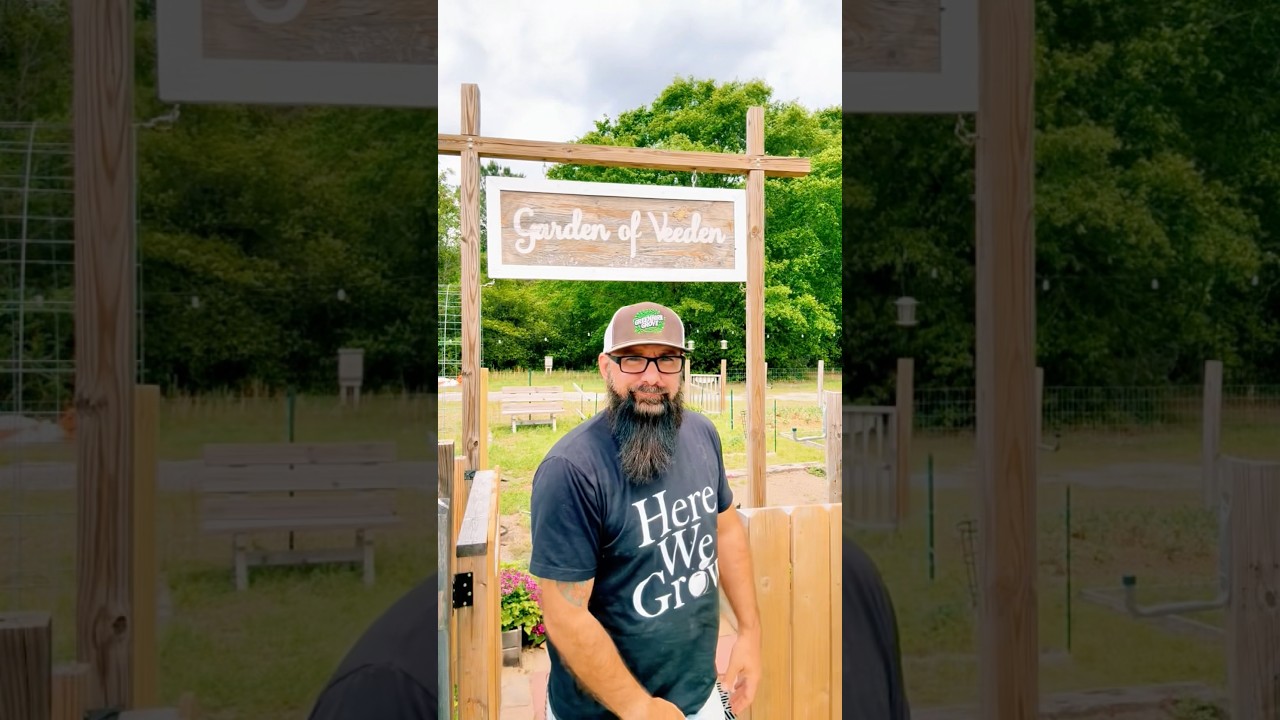 How to start an Off Grid Homestead