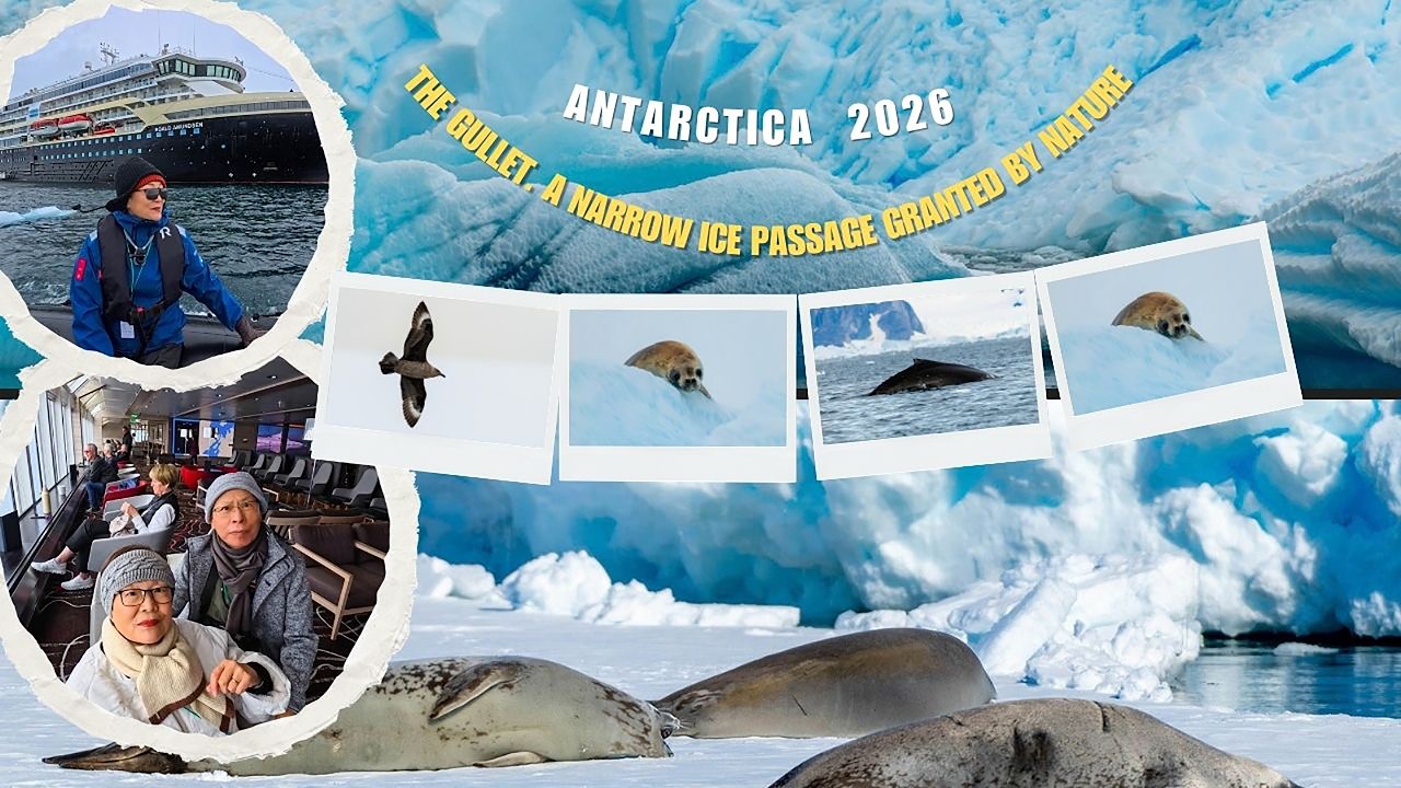 Antarctica 2026 | EP3: The Gullet. A narrow ice passage granted by nature. 南極咽喉水道。大自然眷顧下的冰封窄廊。