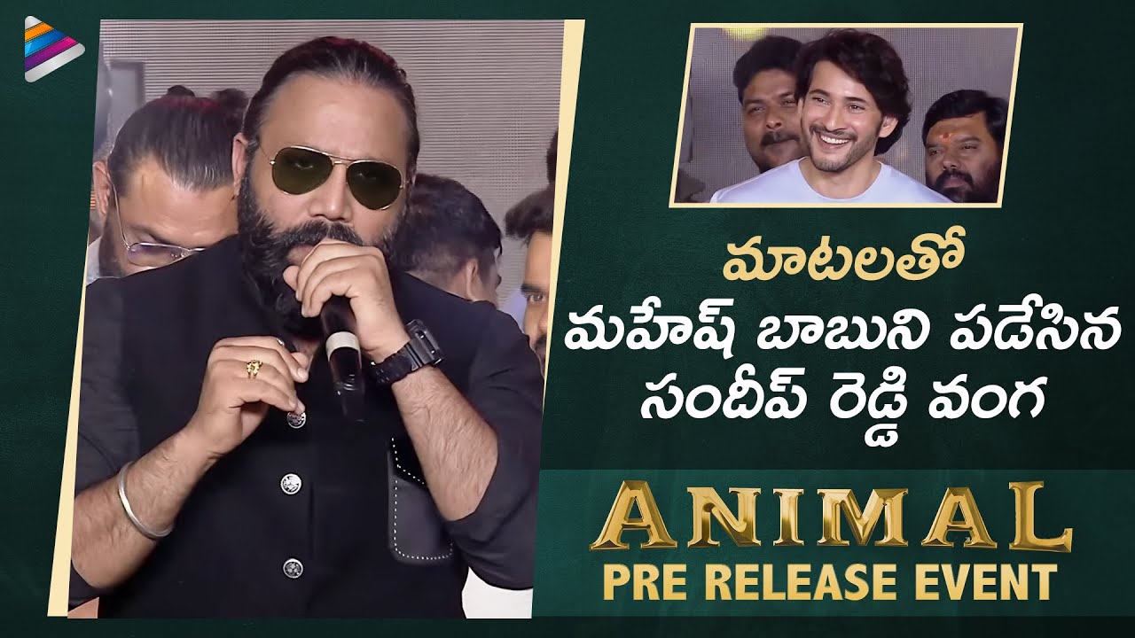 Sandeep Reddy Vanga Speech | ANIMAL Telugu Pre Release Event | Ranbir Kapoor | Mahesh Babu | TFN
