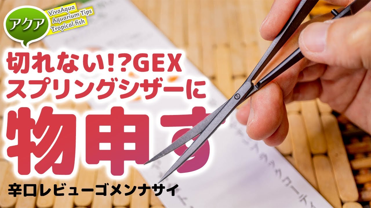 切れない！GEXスプリングシザー辛口レビュー #アクアリウム 【ビバアクア】