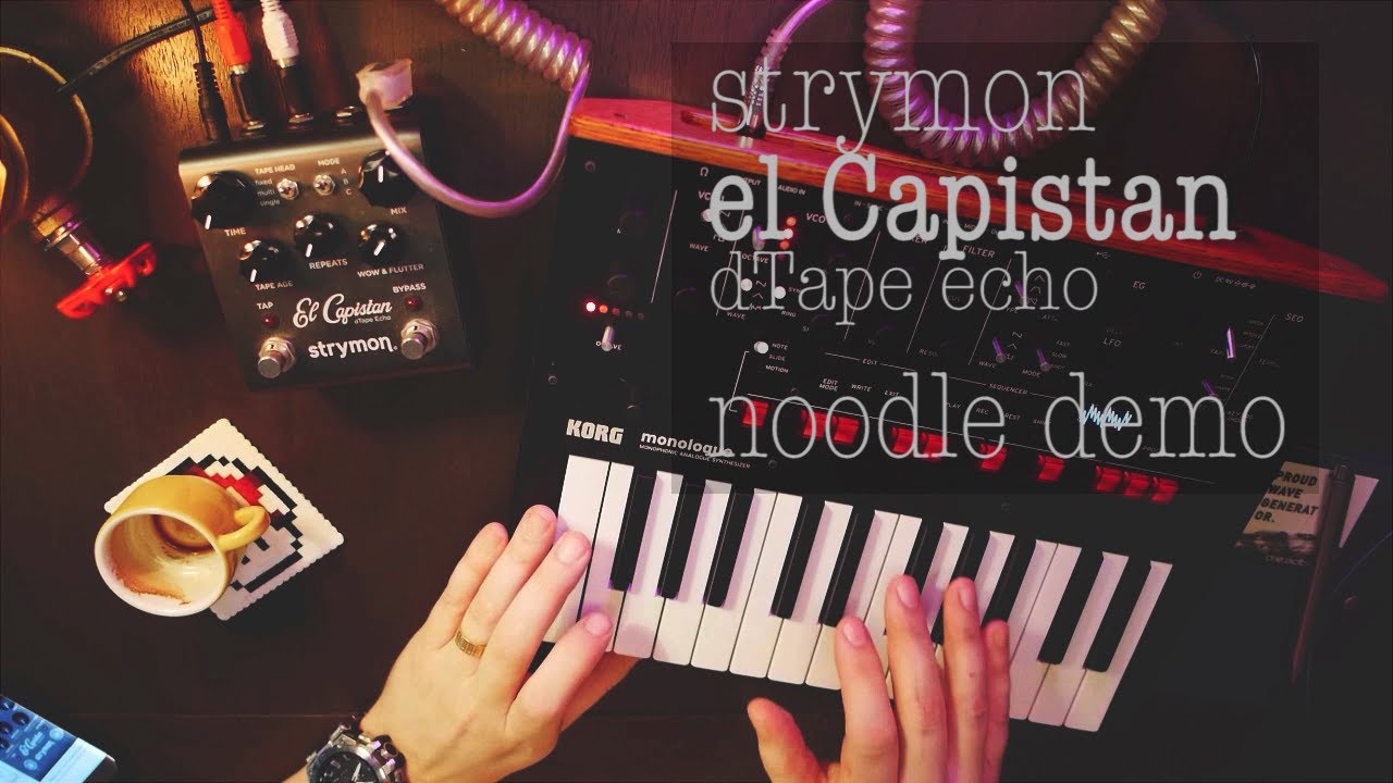 Strymon el capistan - massive synth noodle demo (KORG monologue, volca, reface CP)
