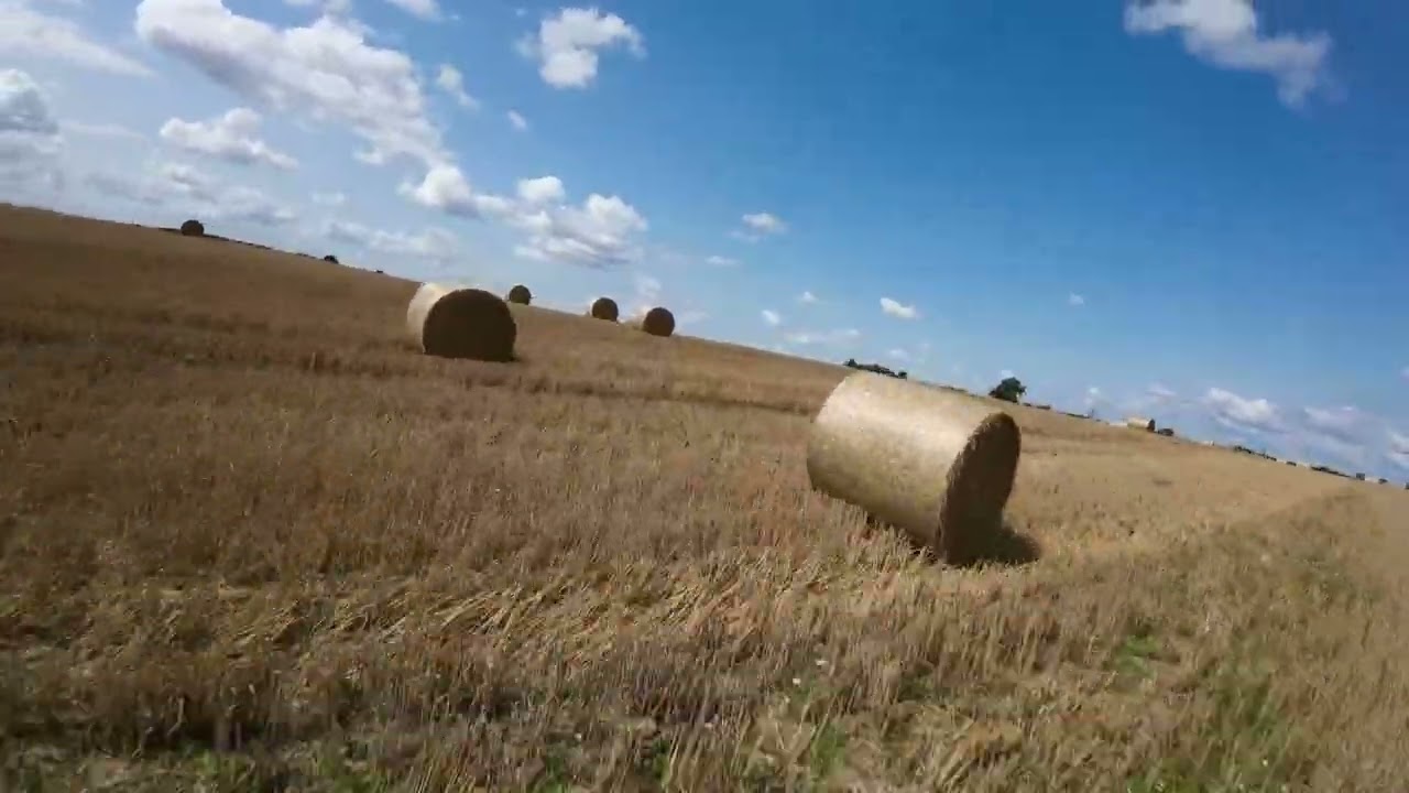 Pomiędzy słomą