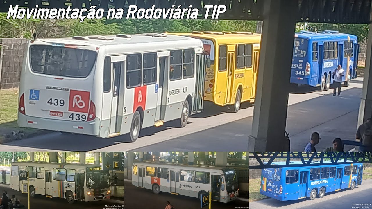 [ #movimentaçãodeônibus ] Terminal Integrado de Passageiros do Recife / Rodoviária do Recife
