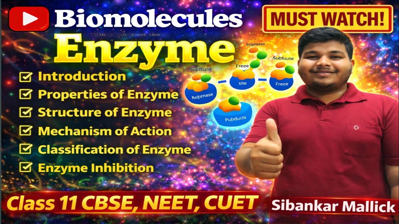 What is Enzymes? | Structure, Properties & Mechanism | Class 11 Biology | CBSE | NEET 2026 | CUET UG