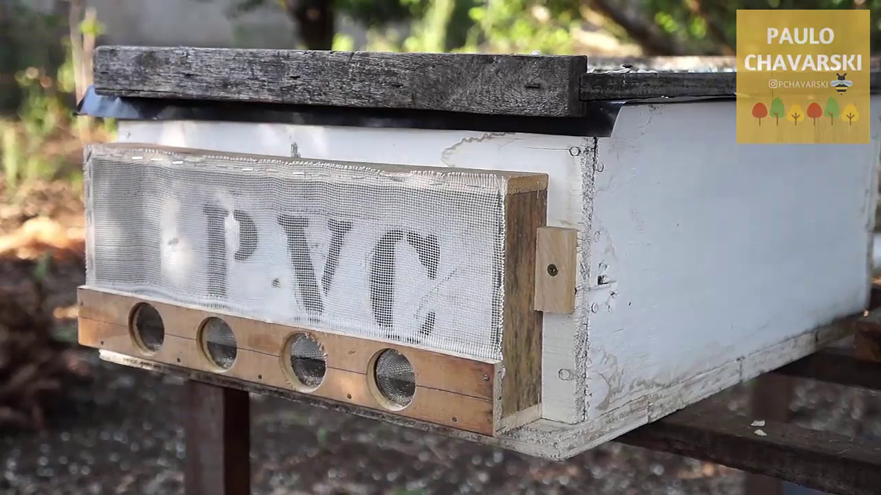 Apicultura Profissional - TELA DE ALVADO, ESCAPE INVERTIDO COM MATERIAL REAPROVEITADO