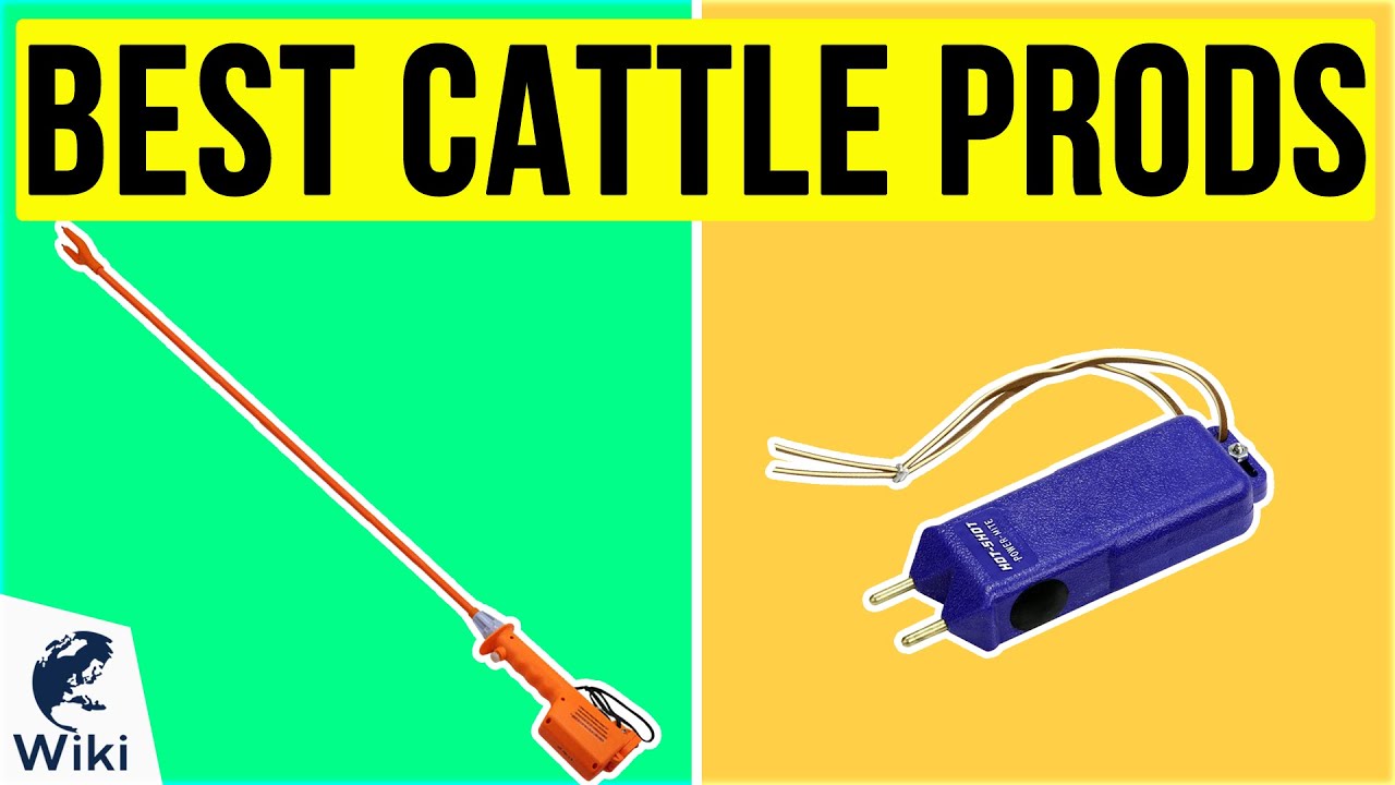 8 Best Cattle Prods 2020