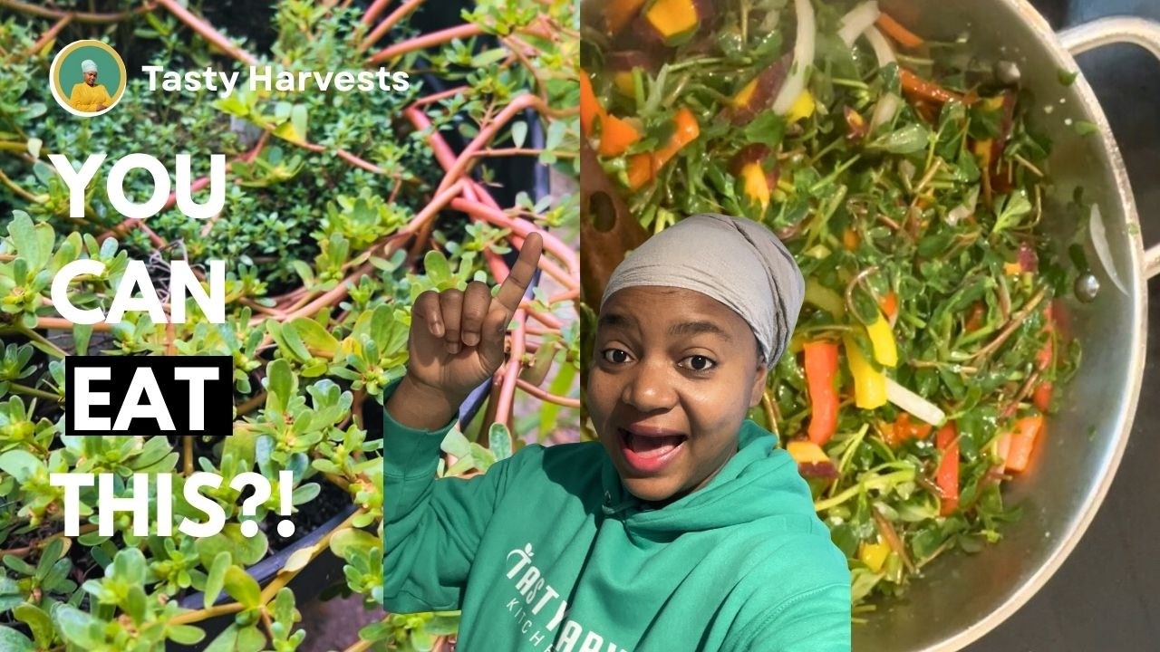 The “Weed” You Should Be Eating (Purslane Explained)