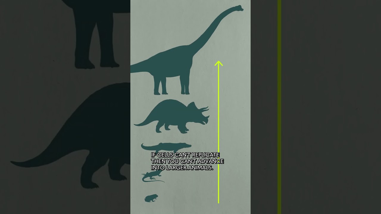 Why we haven't found aliens (pt 1)