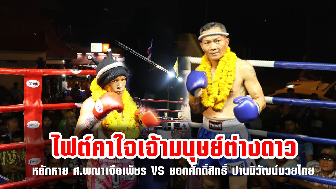 ดูกันเต็มๆไฟต์คาใจ หลักหาย ศ.พณาเจือเพ็ชร VS ยอดศักดิ์สิทธิ์ ปานนิวัฒน์มวยไทย