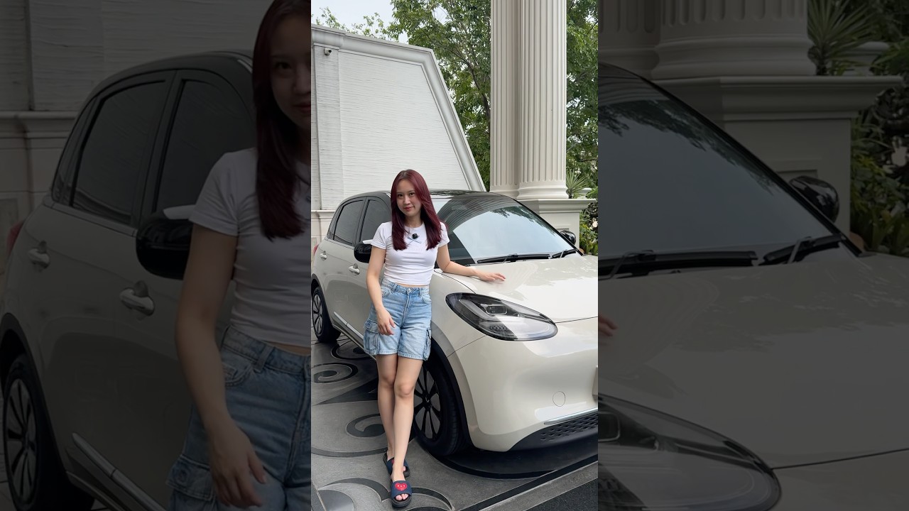 ASMR aksesoris mobil aku ❤️