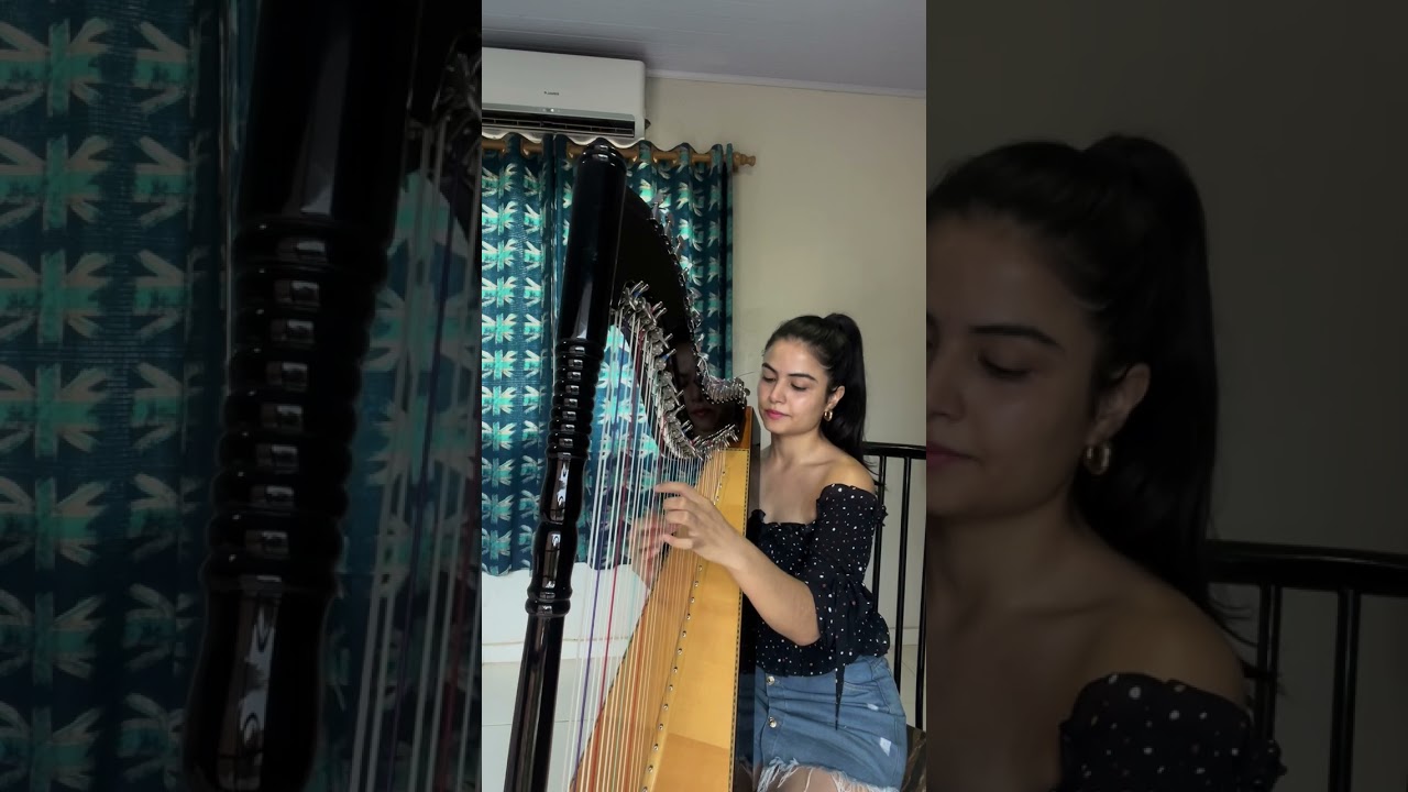 Chiquitita Abba en Arpa Paraguaya