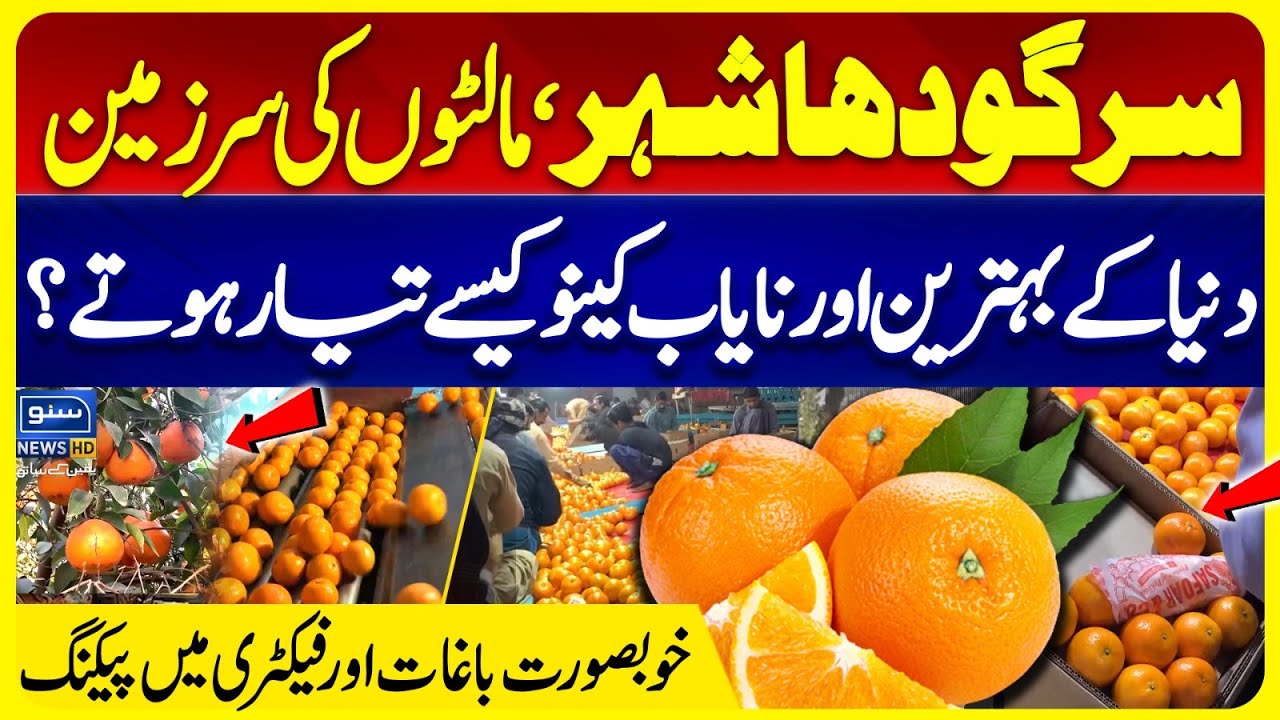 Sargodha 