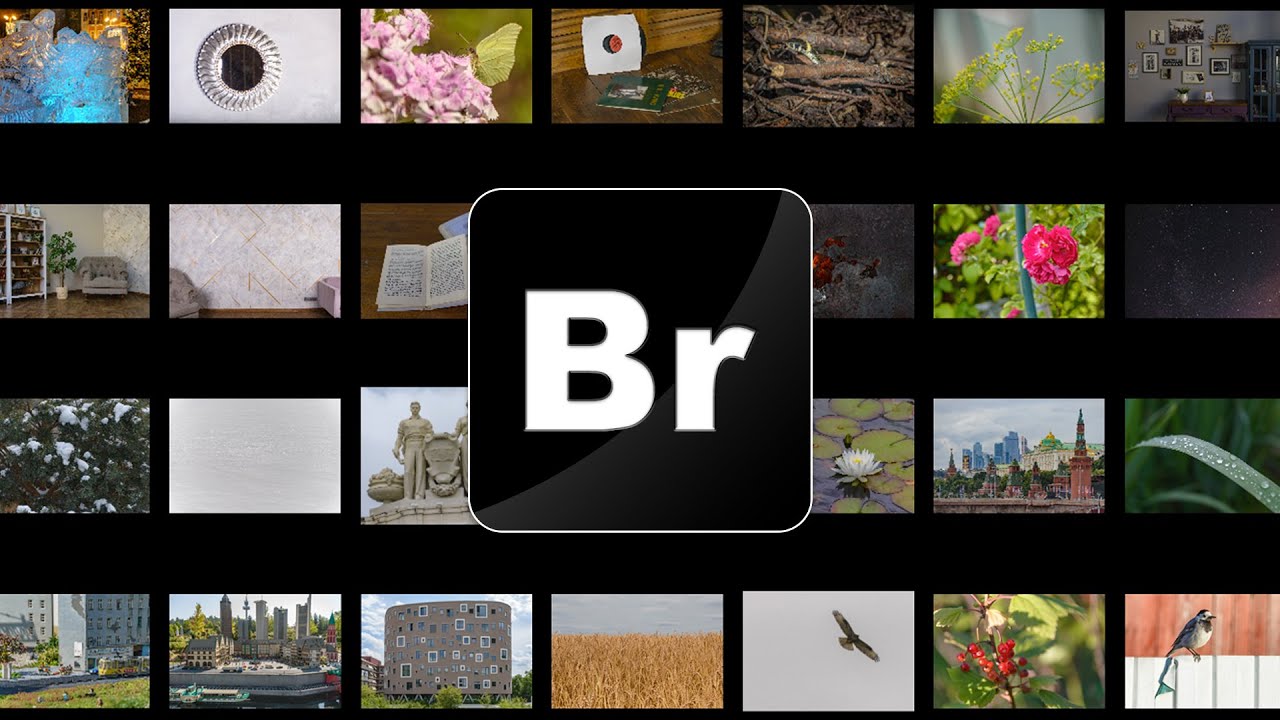 Adobe Bridge