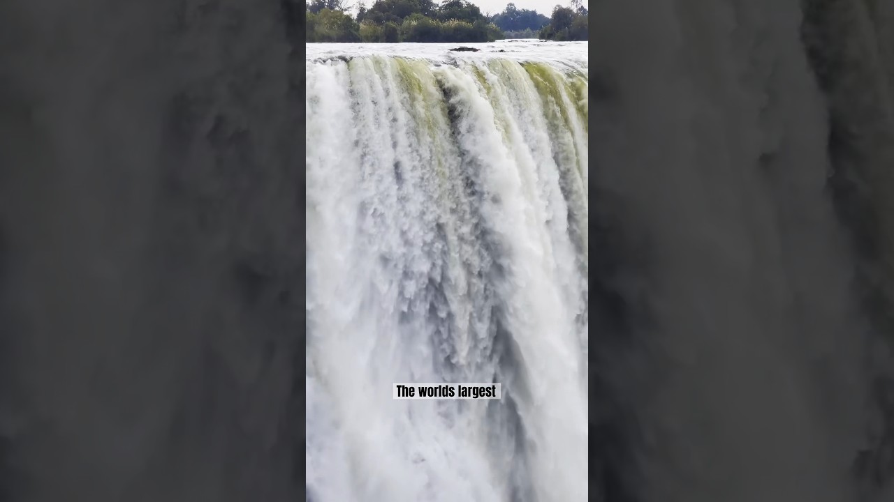 Things to do in Victoria Falls! Pt.2 #solotravel #solotraveltips #shorts #victoriafalls