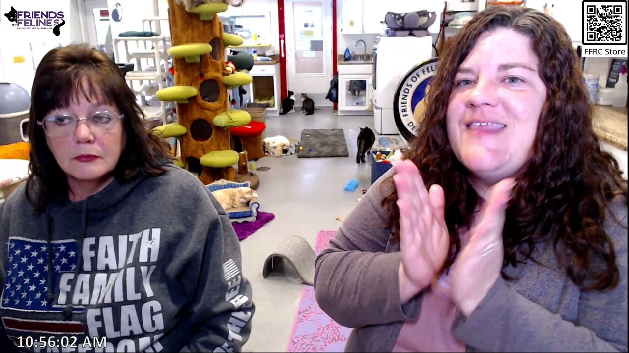 Q&A 02-06-2026  Friends of Felines Rescue Center (FFRC)