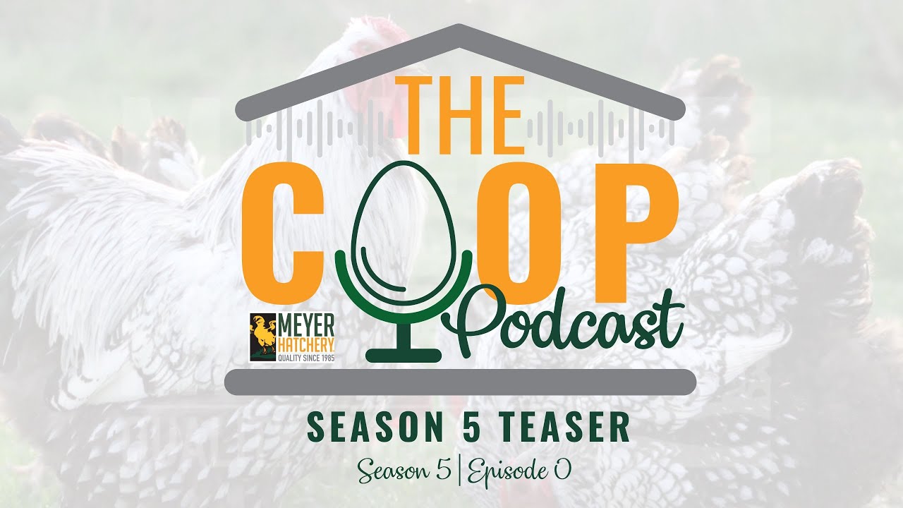 Подкаст «The Coop Podcast» возвращается! - Подкаст «The Coop Podcast» - 5 сезон, 0 серия