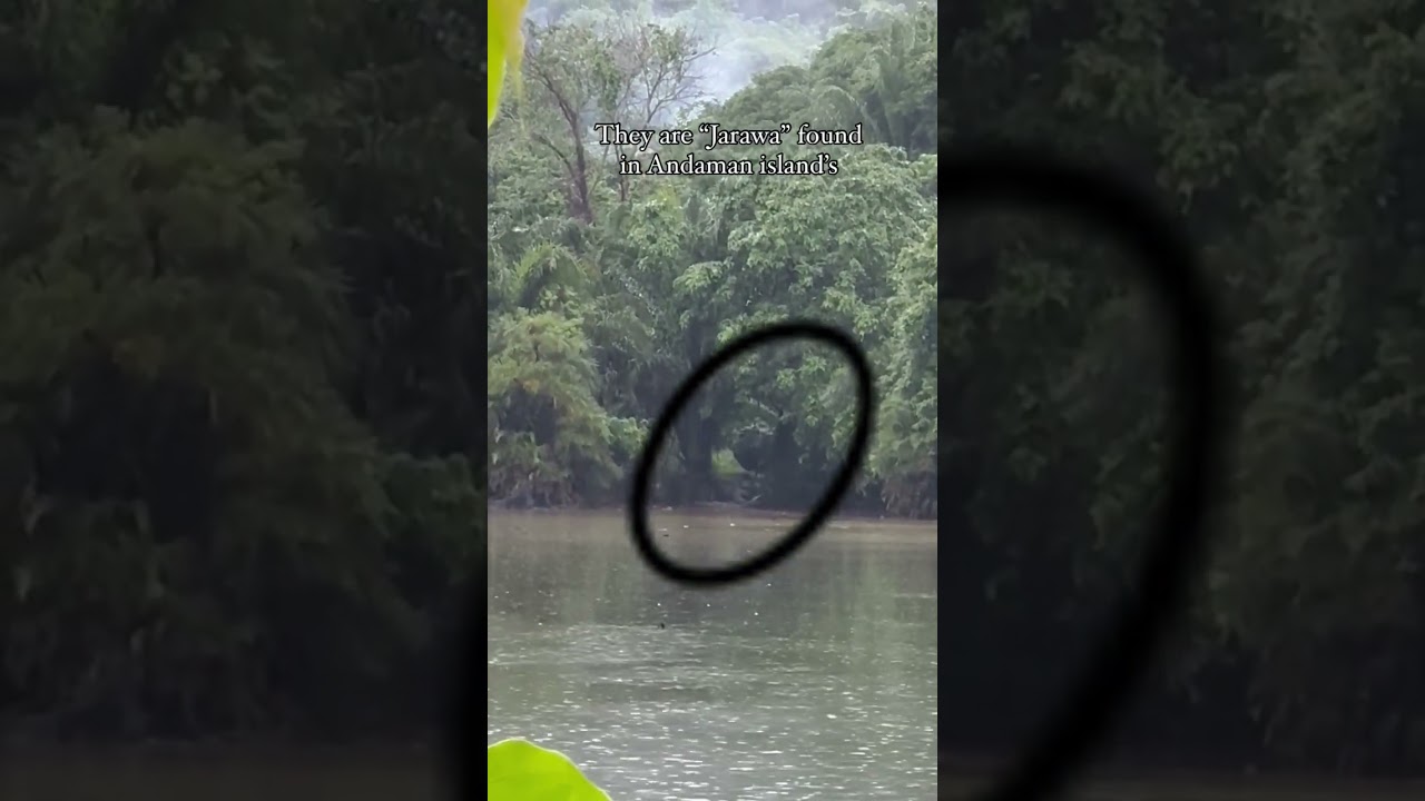 First-Ever Footage of the Jarawa Tribe: A Glimpse into the Ancient World