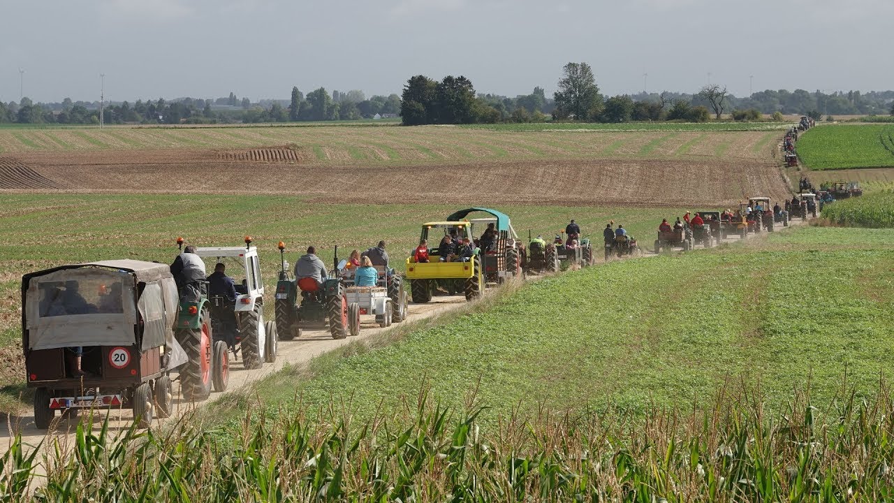 Vieux tracteurs Jandrenouille septembre 2019 - Télévie