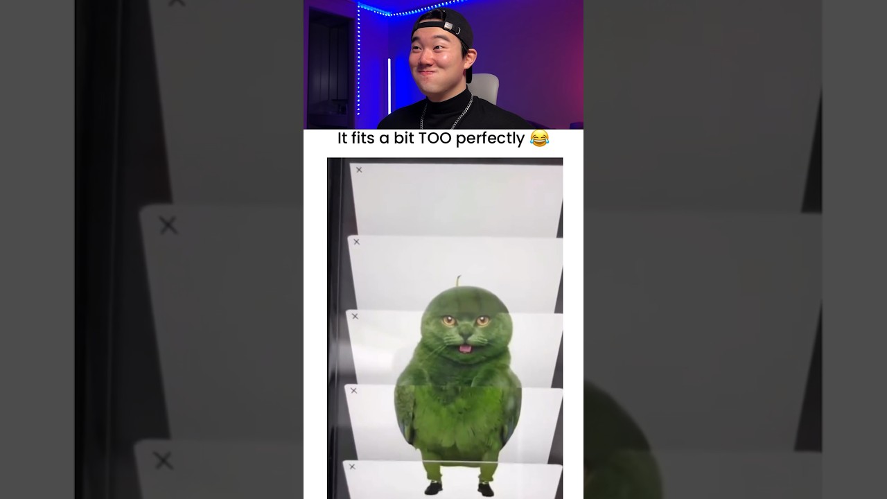 Try Not to Laugh Challenge 352 🤣 