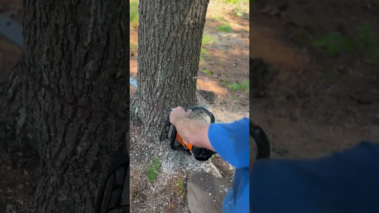 Is the Stihl MS500i the BEST Chainsaw on the market? 🧐