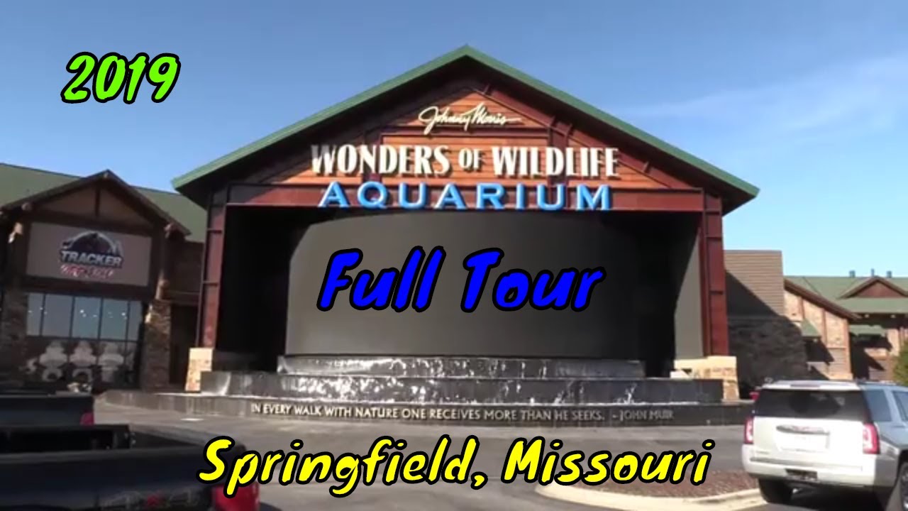 Wonders of Wildlife Aquarium Full Tour - Springfield, Missouri