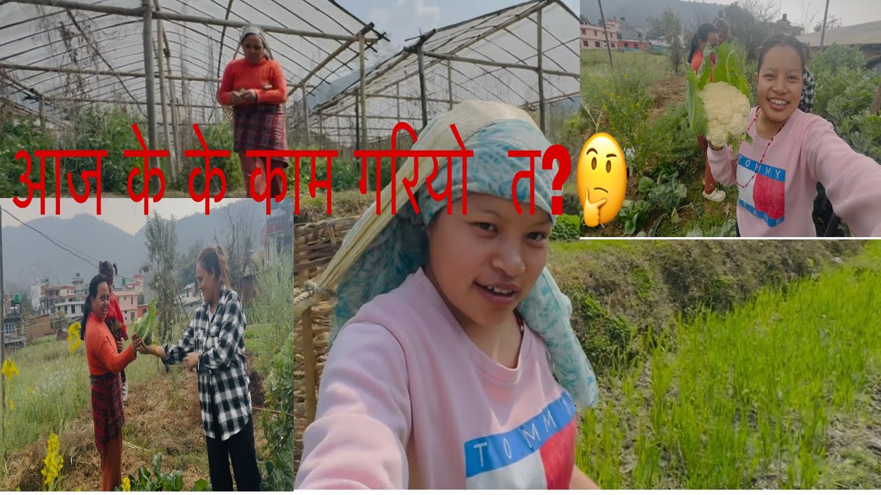 Volg eps-47 साथी  हरु काम नभएर खेत घुमेर आयो😃