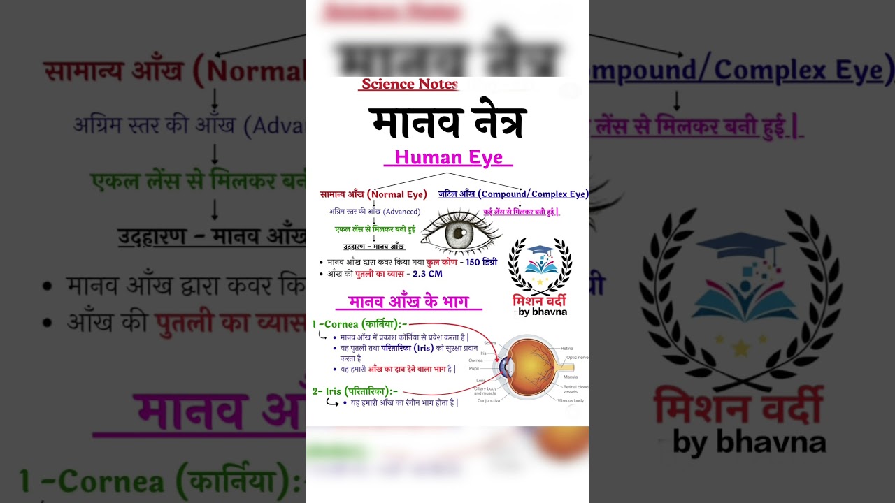 Human Eye for Exams | SSC | Railway | GD