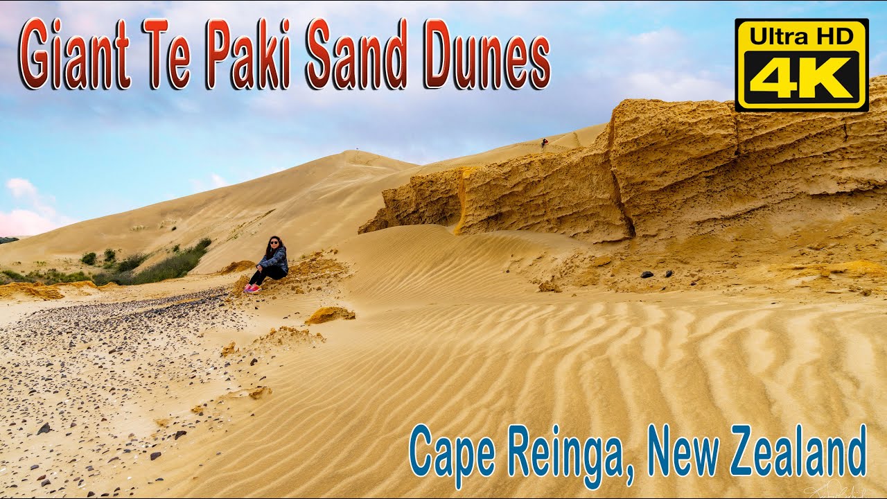 Giant Te Paki Sand Dunes - Cape Reinga, New Zealand