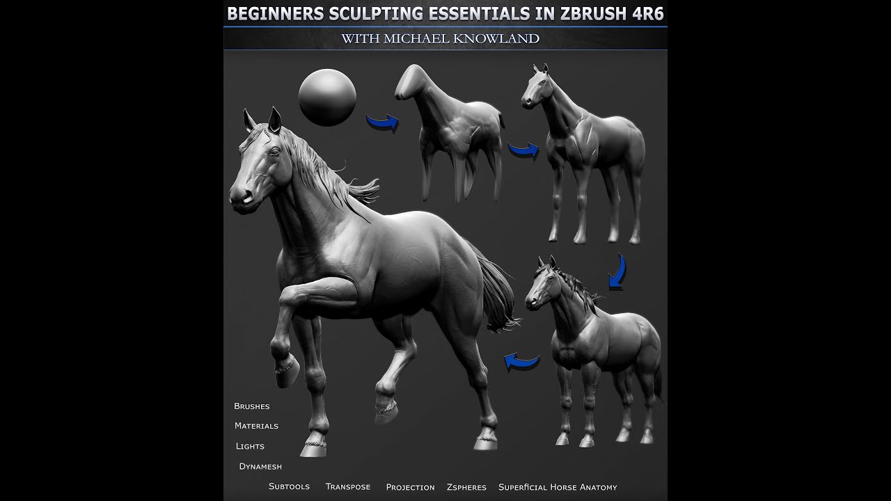 Beginners Sculpting Essentials In Zbrush 4R6