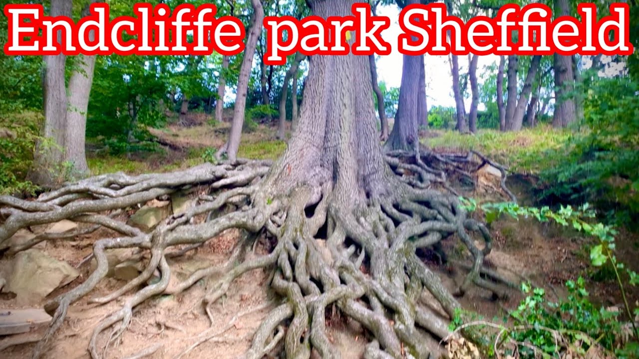 ENDCLIFFE PARK SHEFFIELD UK!Sheffield biggest park!inside full review