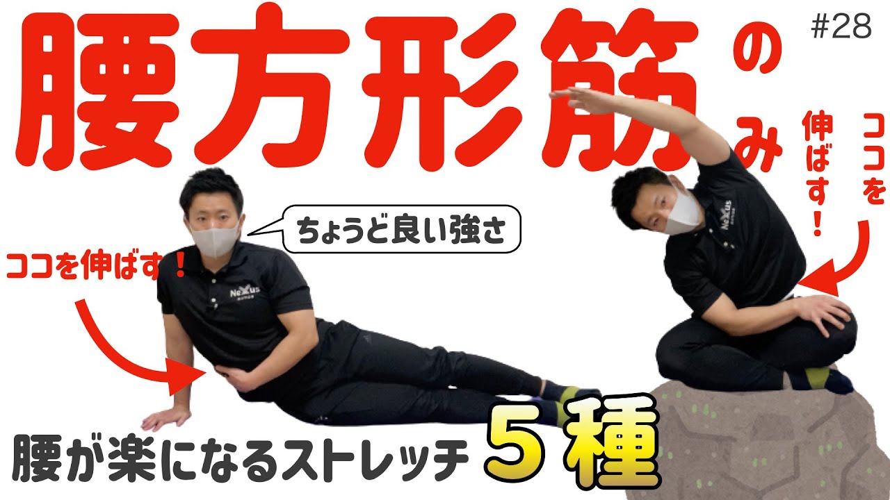 【腰のストレッチ】腰がふわっと楽になる！腰方形筋のストレッチ５種目