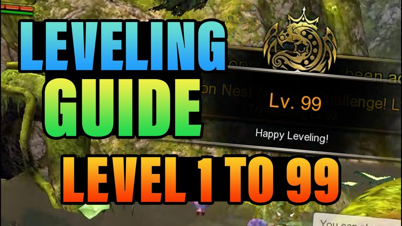 Leveling Guide MAIN QUEST For Beginners Dragon Nest SEA