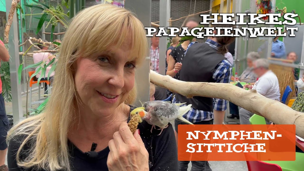 Heike zeigt Euch Nymphensittiche im Papageienpark